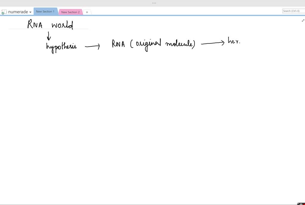 rna world hypothesis notes