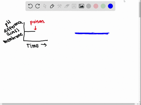 the-graph-here-shows-the-mathrmph-difference-across-the-inner-mitochondrial-membrane-over-time-in-an