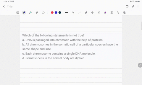 an-example-of-an-oncogene-is-a-gene-that-codes-for-a-protein-that-a-inhibits-angiogenesis-b-promotes