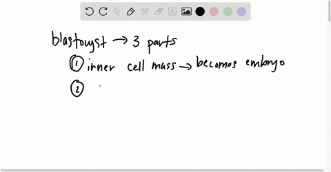 the-inner-cell-mass-of-the-blastocyst-is-destined-to-become-the-_____________-a-embryo-b-trophoblast