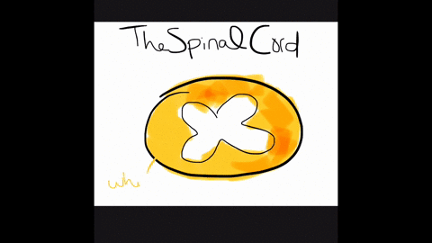 cell-bodies-of-the-sensory-neurons-that-deliver-signals-to-the-spinal-cord-are-in-the-____________-a