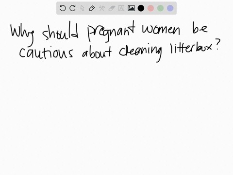 why-should-pregnant-women-avoid-cleaning-their-cats-litter-box-or-do-so-with-protective-gloves