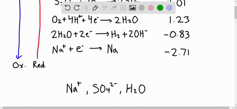 in-the-electrolysis-of-an-aqueous-solution-of-mathrmna_2-mathrmso_4-what-reactions-occur-at-the-anod