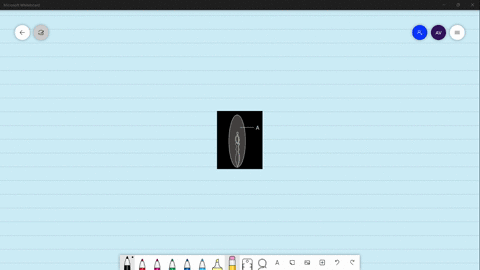 what-indicates-a-in-the-following-figurc-a-micropyle-b-cotyledon-c-endosperm-d-scutellum