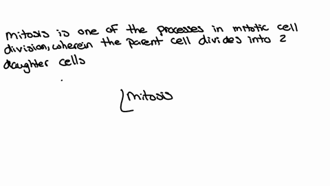 diagram-the-stages-of-mitosis-how-does-mitosis-ensure-that-each-daughter-nucleus-receives-a-full-set