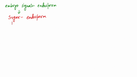 explain-how-the-embryo-signals-the-endosperm-to-obtain-sugars-for-growth-during-germination
