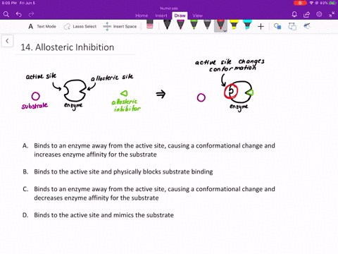 an-allosteric-inhibitor-does-which-of-the-following-a-binds-to-an-enzyme-away-from-the-active-site-2
