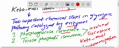 one-pathway-for-the-metabolism-of-d-glucose-6-phosphate-is-its-enzyme-catalyzed-conversion-to-mathrm