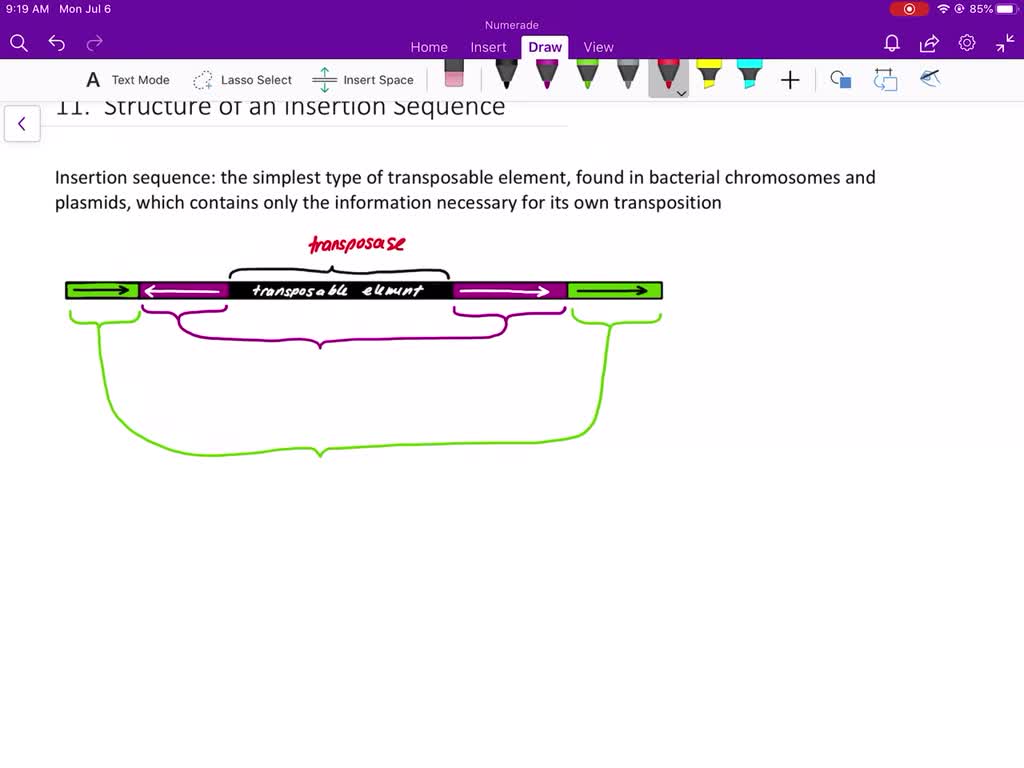 SOLVEDDraw the structure of a typical insertion sequence, and identify