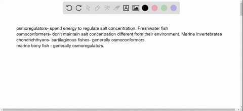 which-statement-is-true-a-most-marine-invertebrates-are-osmoregulators-b-all-freshwater-invertebra-2