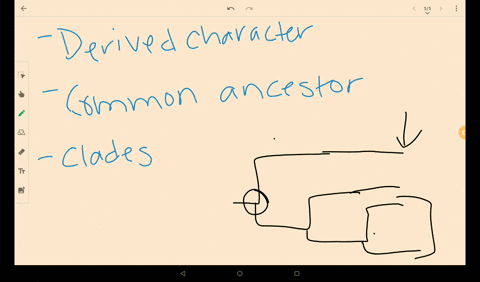 darwin-suggested-looking-at-a-species-close-relatives-to-learn-what-its-ancestors-may-have-been-li-2