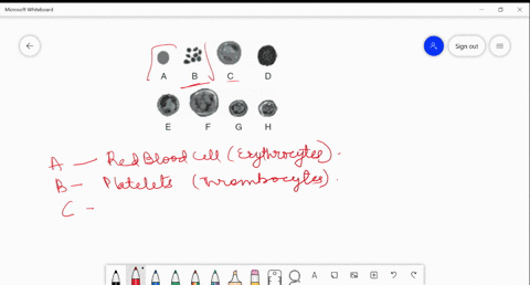 identify-a-b-c-d-e-f-g-and-h-in-the-given-diagram-beginarrayllllltext-a-text-b-text-c-text-d-text-e-