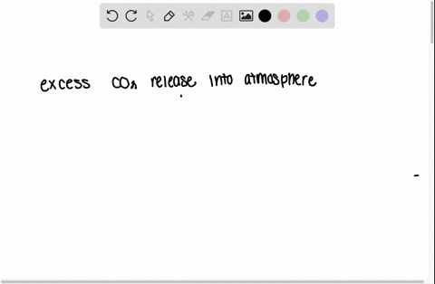 explain-the-logic-behind-planting-trees-as-a-way-to-reduce-global-climate-change