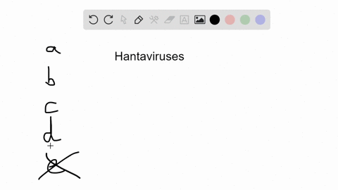 in-the-united-states-hantaviruses-a-are-limited-to-southwestern-states-b-are-carried-only-by-deer-mi
