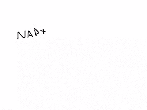 the-reduction-of-nad-produces-a-acetyl-coa-b-pyruvate-c-nadh-d-oxygen-gas