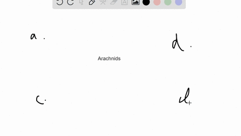 which-is-not-a-characteristic-of-arachnids-a-chelicerae-b-pedipalps-c-spinnerets-d-antennae