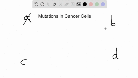 SOLVED:A mutation in which of the following types of genes would likely ...