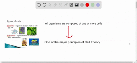 name-one-major-principle-of-the-cell-theory