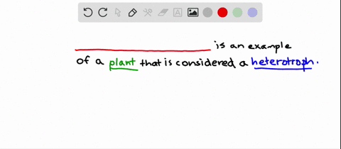 which-of-the-plants-listed-below-is-heterotrophic-has-to-obtain-organic-food-from-the-environment-a-