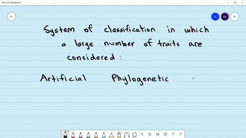 a-system-of-classification-in-which-a-large-number-of-traits-are-considered-is-a-artificial-system-b