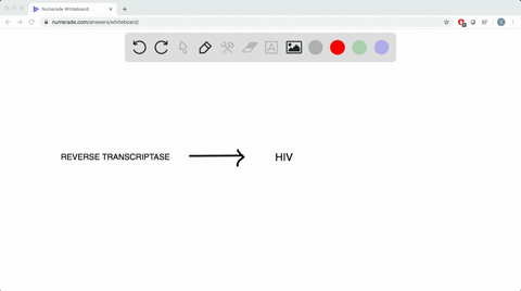 one-of-the-first-and-most-important-targets-for-drugs-to-fight-infection-with-hiv-a-retrovirus-is-th