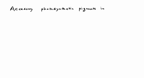 accessory-photosynthetic-pigments-in-most-green-plants-are-a-chlorophyll-a-b-chlorophyll-b-c-caroten