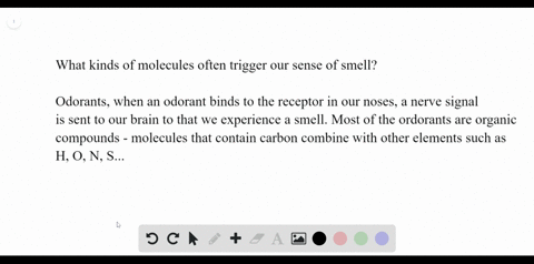 what-kinds-of-molecules-often-trigger-our-sense-of-smell