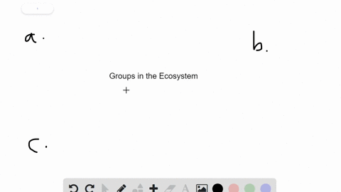 which-of-the-following-groups-is-are-absolutely-essential-to-the-functioning-of-an-ecosystem-a-produ
