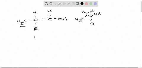 how-are-the-amino-acid-units-in-a-polypeptide-joined-together-what-are-the-links-called-2