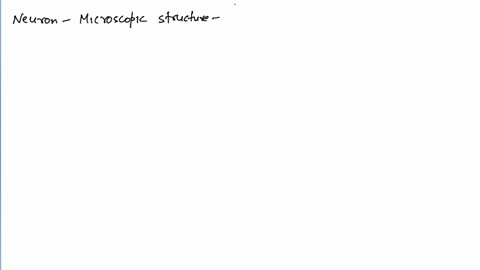 neuron-is-a-structure-composed-of-three-major-parts-cell-body-longrightarrow-and-axon-a-macroscopic-