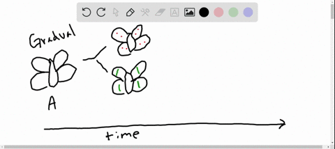 according-to-the-punctuated-equilibria-model-a-given-enough-time-most-existing-species-will-branch-g