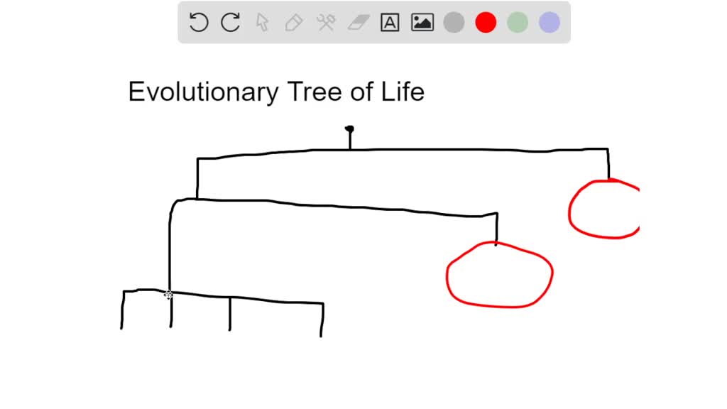 solved-fill-in-the-tree-below-to-show-the-evolutionary-relationships-among-the-domains-and