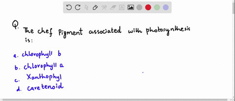 the-chief-pigment-associated-with-photosynthesis-is-a-chlorophyll-b-b-chlorophyll-a-c-xanthophyll-d-