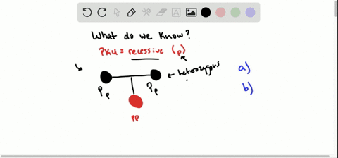 phenylketonuria-pku-is-a-disease-that-results-from-a-recessive-gene-suppose-that-two-unaffected-pare