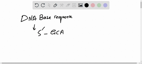 a-segment-of-a-strand-of-dna-has-a-base-sequence-of-5prime-mathrmgcattagac-3prime-what-would-be-the-