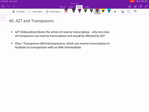 zidovudine-azt-is-a-drug-used-to-treat-patients-with-aids-azt-works-by-blocking-the-reverse-transc-2