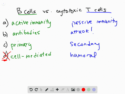 which-of-the-following-best-describes-the-difference-in-the-way-b-cells-and-cytotoxic-t-cells-deal-2