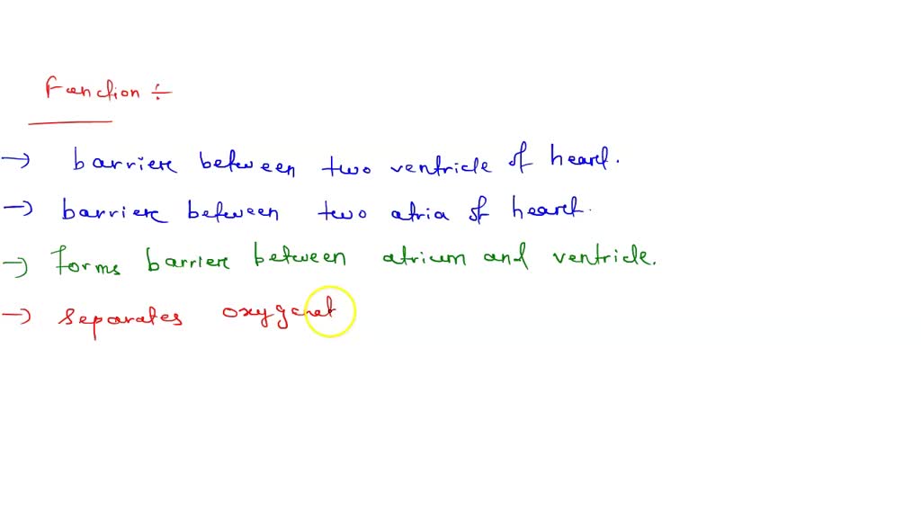 solved-what-is-the-function-of-the-septum-in-the-heart-what-would