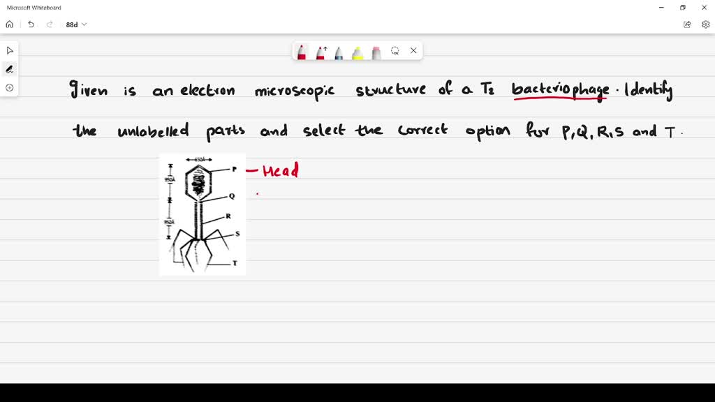 SOLVED:Given is an electron microscopic structure of a T2 bacteriophage ...