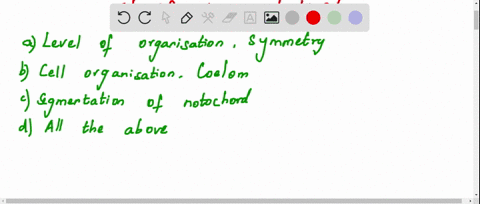 the-basic-fundamental-feature-which-enables-us-to-broadly-classify-the-animal-kingdom-are-a-level-of