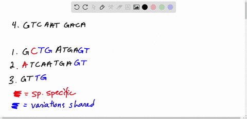suppose-species-12-and-3-are-endemic-to-a-group-of-islands-such-as-the-galapagos-and-are-all-descend
