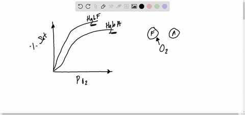 the-hemoglobin-of-a-human-fetus-differs-from-adult-hemoglobin-compare-the-dissociation-curves-of-t-2
