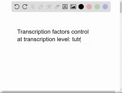how-do-transcription-factors-control-protein-synthesis-at-the-transcription-level