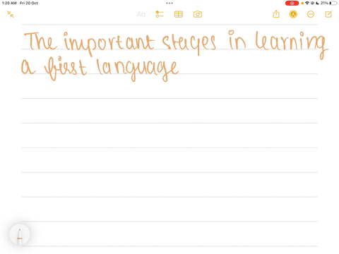 what-are-some-of-the-important-stages-in-learning-a-first-language