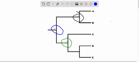analyze-the-evolutionary-tree-in-figure-212-and-then-write-an-argument-supporting-or-refuting-this-s