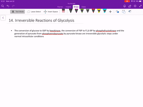 what-reactions-of-glycolysis-are-not-readily-reversible-under-intracellular-conditions