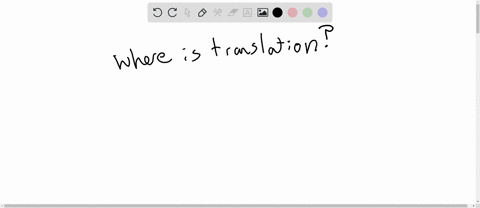 where-does-translation-take-place-in-a-eukaryotic-cell-a-nucleus-b-ribosome-c-cytoplasm-d-b-and-c-2