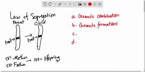 which-of-the-following-is-not-a-component-of-the-law-of-segregation-a-each-gamete-contains-one-facto
