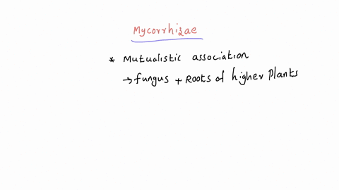 what-are-mycorrhizae-a-the-bodies-of-fungi-composed-of-hyphae-b-fungi-that-attack-plant-roots-causin