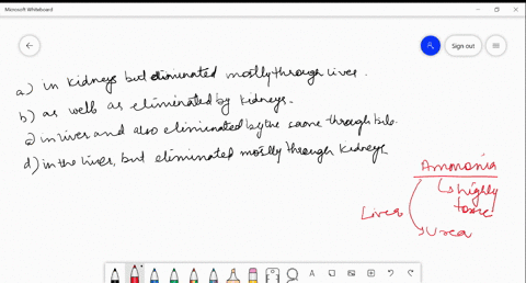 the-principal-nitrogenous-excretory-compound-in-humans-is-synthesized-a-in-kidneys-but-eliminated-mo